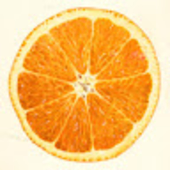 otto_elson